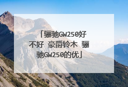 骊驰GW250好不好 豪爵铃木 骊驰GW250的优