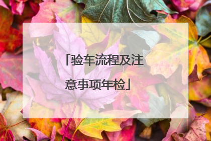 验车流程及注意事项年检