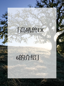 高吼兽EX6的介绍