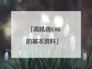 高吼兽EX6的基本资料