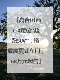 高合HiPhi X定位“超跑SUV”，搭载展翼式车门，68万元起售