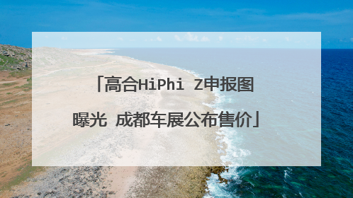 高合HiPhi Z申报图曝光 成都车展公布售价