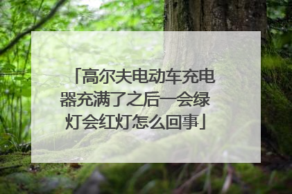 高尔夫电动车充电器充满了之后一会绿灯会红灯怎么回事
