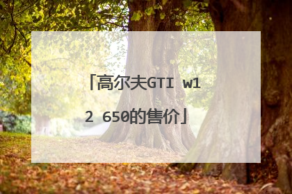 高尔夫GTI w12 650的售价