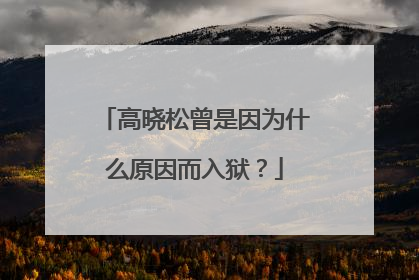 高晓松曾是因为什么原因而入狱？