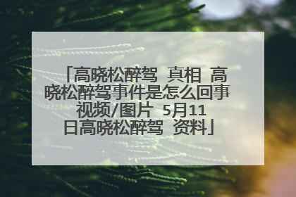 高晓松醉驾 真相 高晓松醉驾事件是怎么回事 视频/图片 5月11日高晓松醉驾 资料