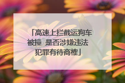 高速上拦截运狗车被撞 是否涉嫌违法犯罪有待商榷