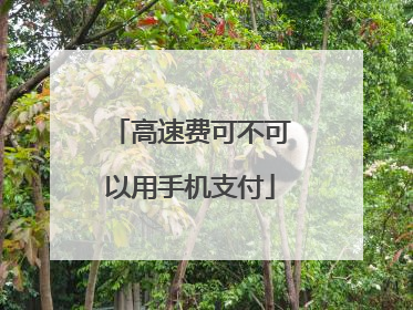 高速费可不可以用手机支付