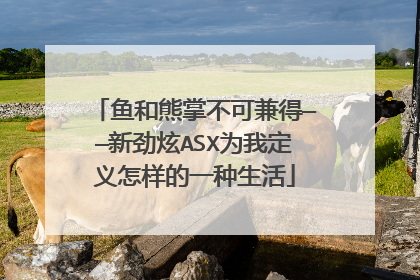 鱼和熊掌不可兼得——新劲炫ASX为我定义怎样的一种生活