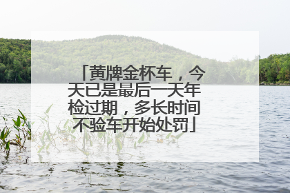 黄牌金杯车，今天已是最后一天年检过期，多长时间不验车开始处罚