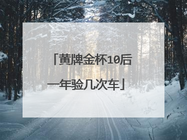 黄牌金杯10后一年验几次车