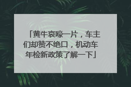 黄牛哀嚎一片，车主们却赞不绝口，机动车年检新政策了解一下
