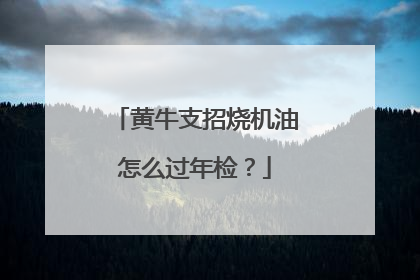 黄牛支招烧机油怎么过年检？