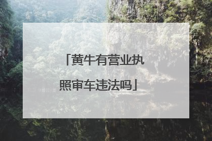 黄牛有营业执照审车违法吗