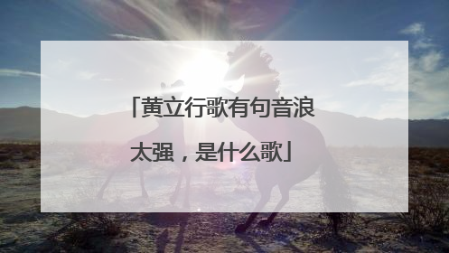 黄立行歌有句音浪太强，是什么歌
