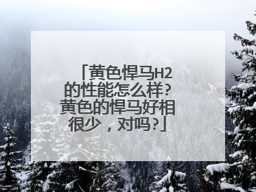 黄色悍马H2的性能怎么样?黄色的悍马好相很少，对吗?