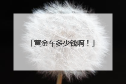 黄金车多少钱啊！