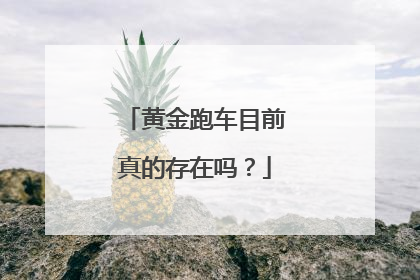黄金跑车目前真的存在吗？