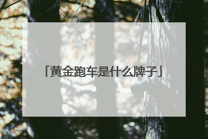 黄金跑车是什么牌子