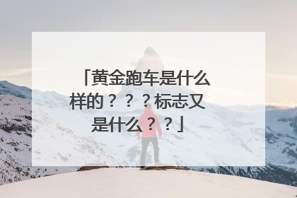 黄金跑车是什么样的？？？标志又是什么？？