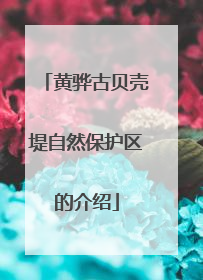 黄骅古贝壳堤自然保护区的介绍