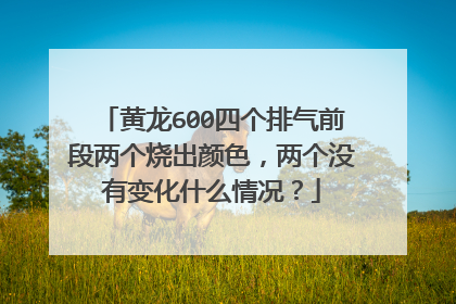 黄龙600四个排气前段两个烧出颜色，两个没有变化什么情况？