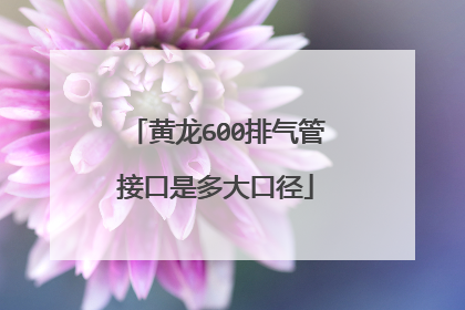 黄龙600排气管接口是多大口径