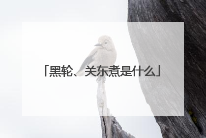 黑轮、关东煮是什么