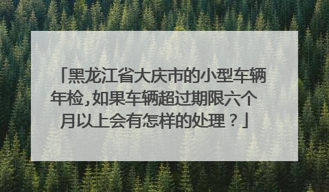 黑龙江省大庆市的小型车辆年检,如果车辆超过期限六个月以上会有怎样的处理？