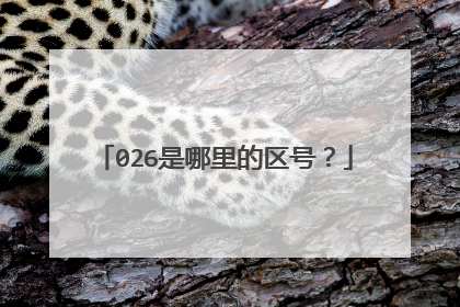 026是哪里的区号？