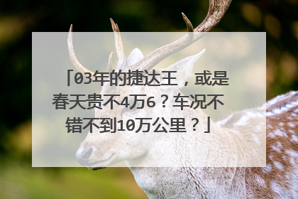 03年的捷达王，或是春天贵不4万6？车况不错不到10万公里？
