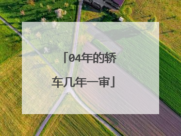 04年的轿车几年一审