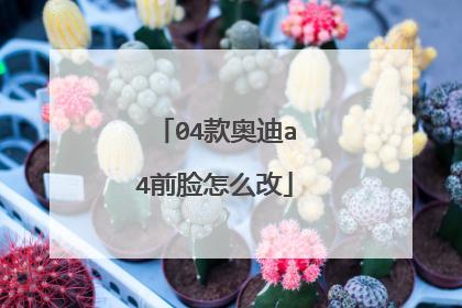 04款奥迪a4前脸怎么改