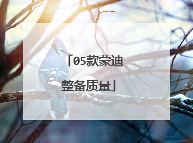 05款蒙迪整备质量