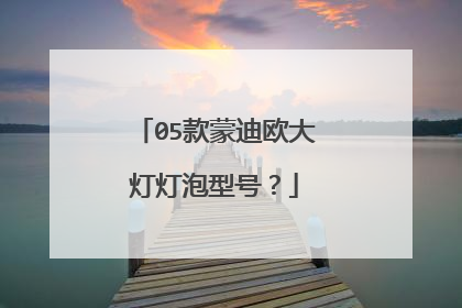 05款蒙迪欧大灯灯泡型号？