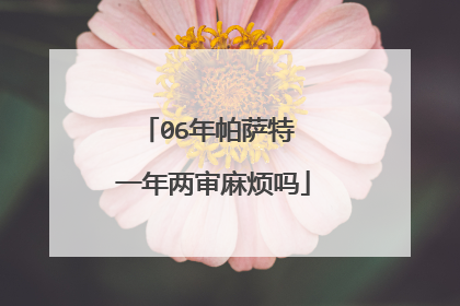 06年帕萨特 一年两审麻烦吗