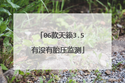 06款天籁3.5有没有胎压监测