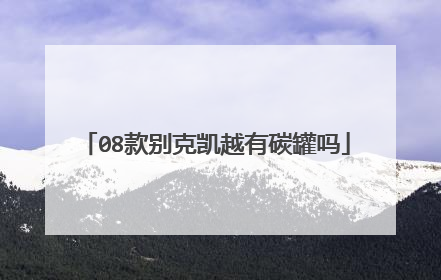 08款别克凯越有碳罐吗