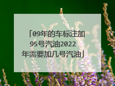 09年的车标注加95号汽油2022年需要加几号汽油