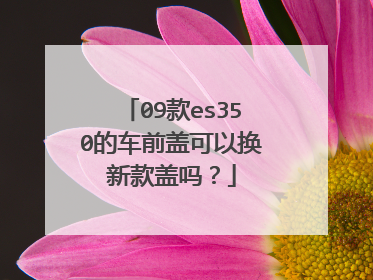 09款es350的车前盖可以换新款盖吗？