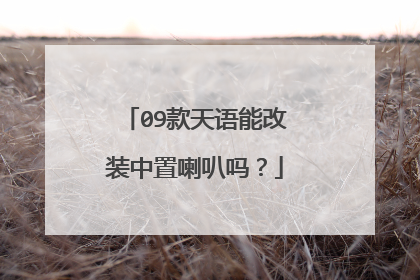 09款天语能改装中置喇叭吗？