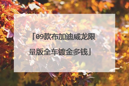 09款布加迪威龙限量版全车镀金多钱