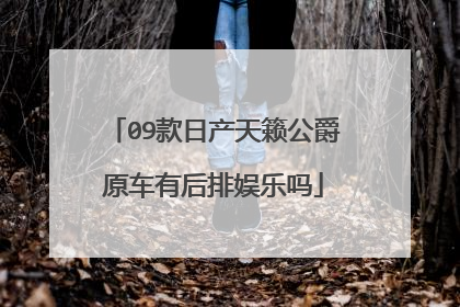 09款日产天籁公爵原车有后排娱乐吗