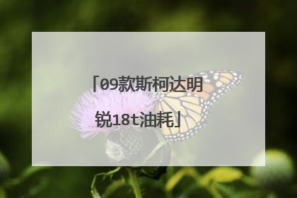 09款斯柯达明锐18t油耗