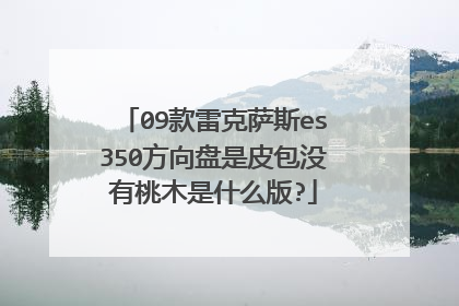 09款雷克萨斯es350方向盘是皮包没有桃木是什么版?
