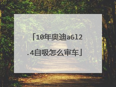 10年奥迪a6l2.4自吸怎么审车