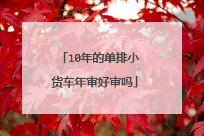 10年的单排小货车年审好审吗