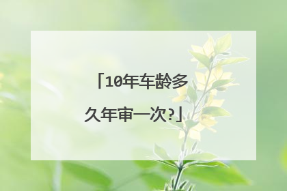 10年车龄多久年审一次?