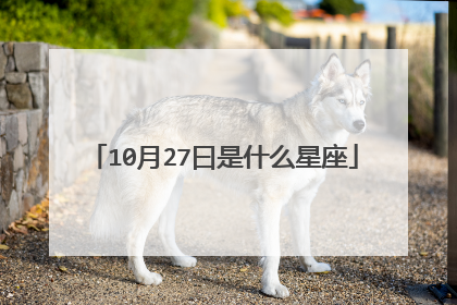 10月27曰是什么星座