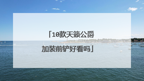 10款天籁公爵加装前铲好看吗